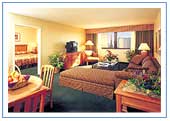 vacation package to las vegas